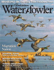 American Waterfowler
